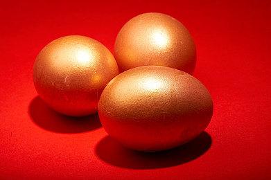 《WILD HEARTS S》 即日起下载版开放预购！实机游玩影片同步公开！